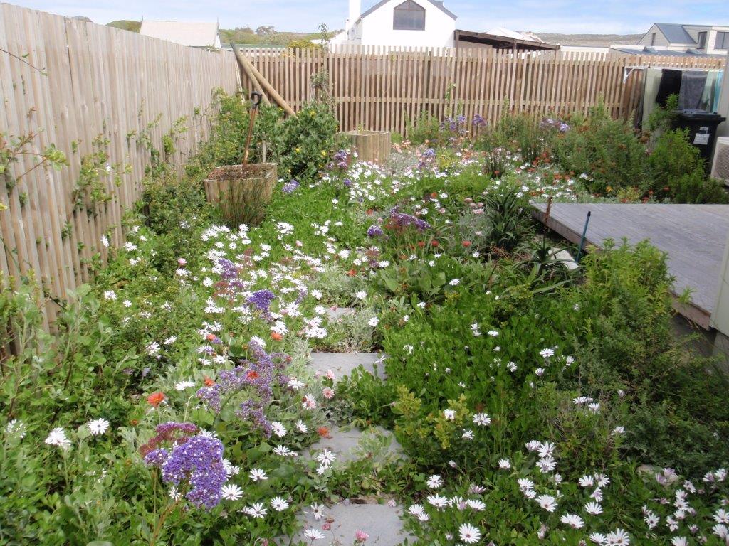 House Bertie – Kommetjie
