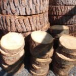 Pine Rounds