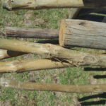 Tree Stake